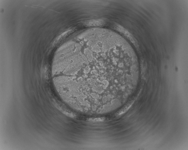 X0000079280161200612081802