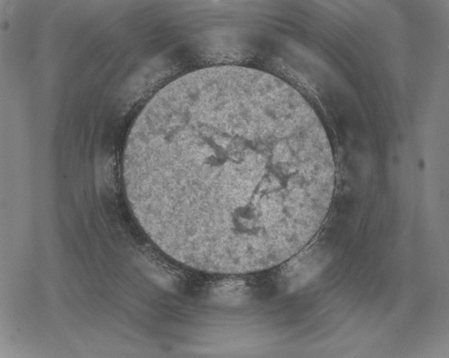 X0000079280162200612081802