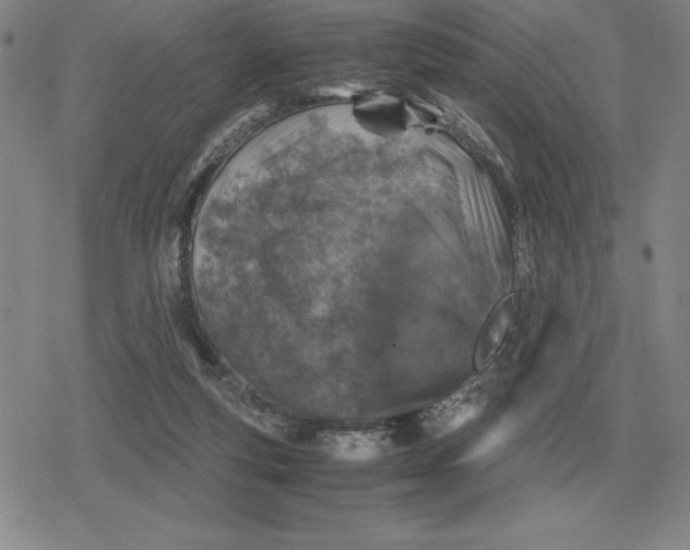 X0000079280163200612081802