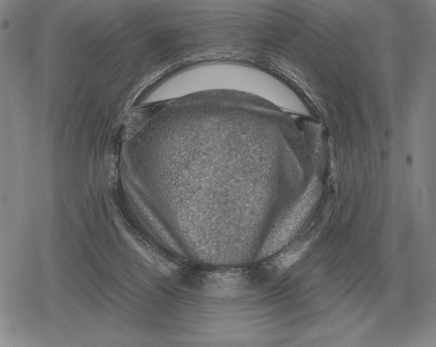 X0000079280164200612081802