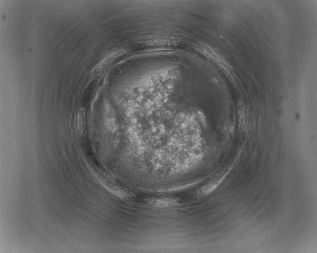 X0000079280165200612081802