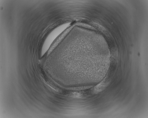 X0000079280166200612081802