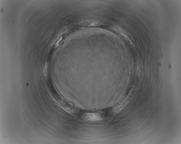 X0000079280167200612081802