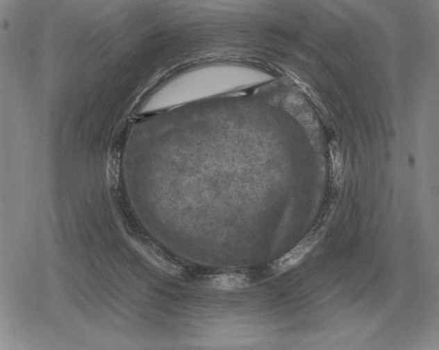 X0000079280168200612081802