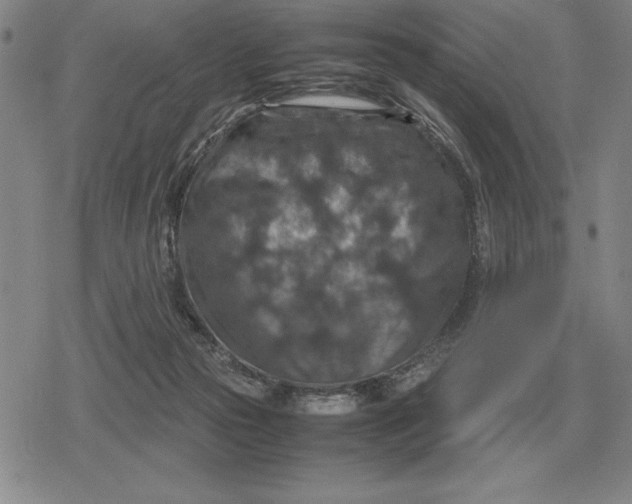 X0000079280169200612081802