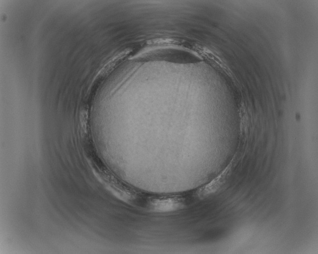 X0000079280171200612081802