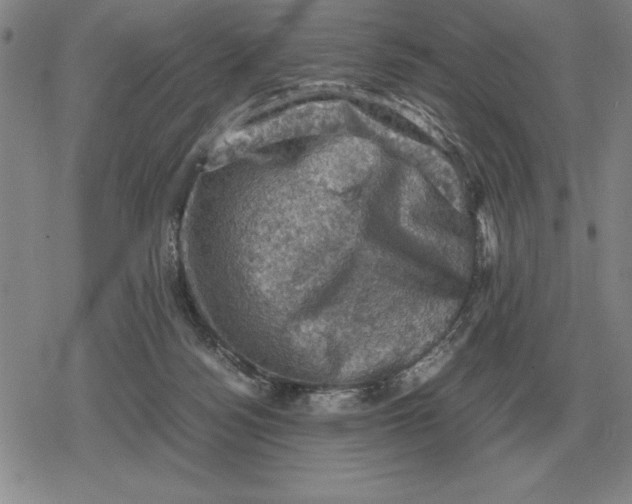 X0000079280172200612081802