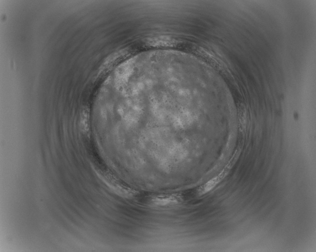 X0000079280175200612081802