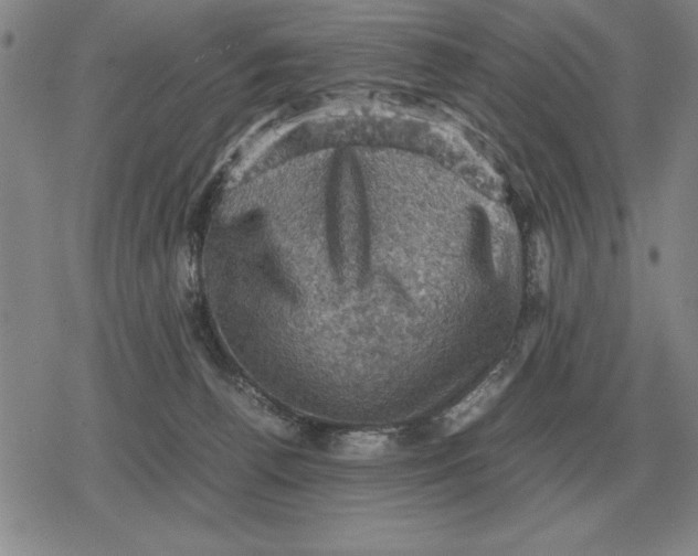 X0000079280176200612081802