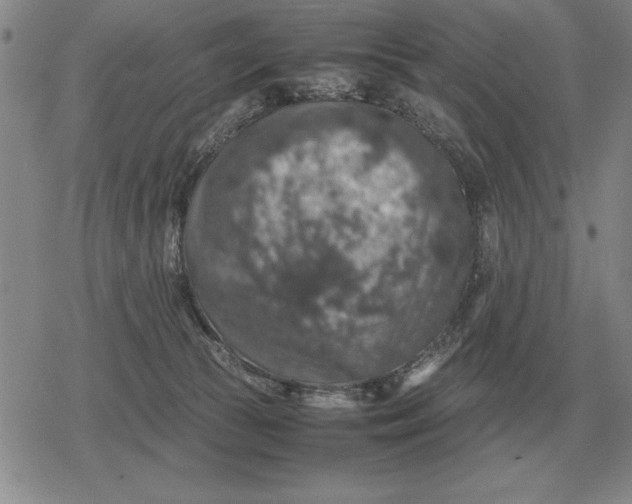 X0000079280177200612081802