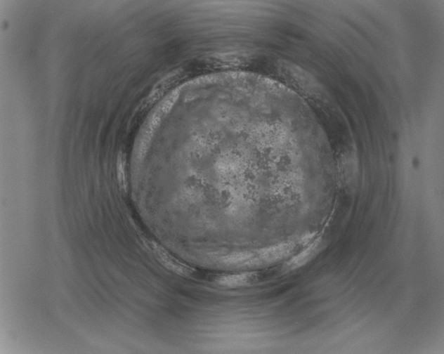 X0000079280178200612081802