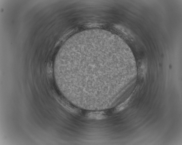 X0000079280179200612081802