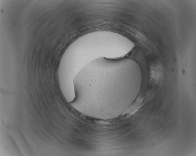 X0000079280180200612081802