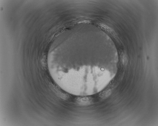 X0000079280181200612081802