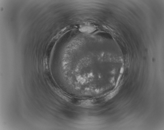 X0000079280182200612081802