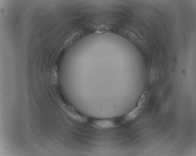 X0000079280183200612081802