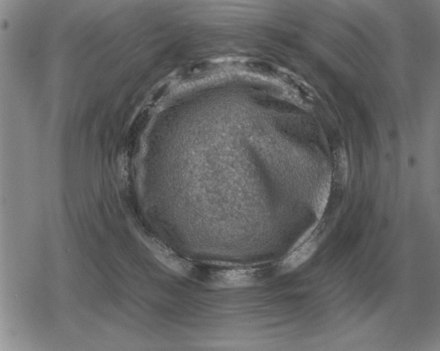 X0000079280184200612081802