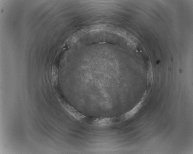 X0000079280186200612081802