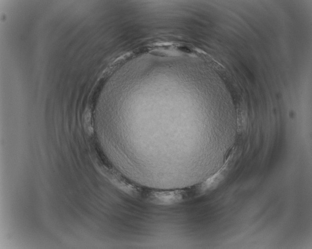 X0000079280187200612081802