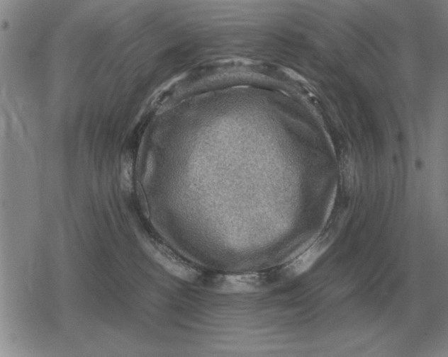 X0000079280188200612081802