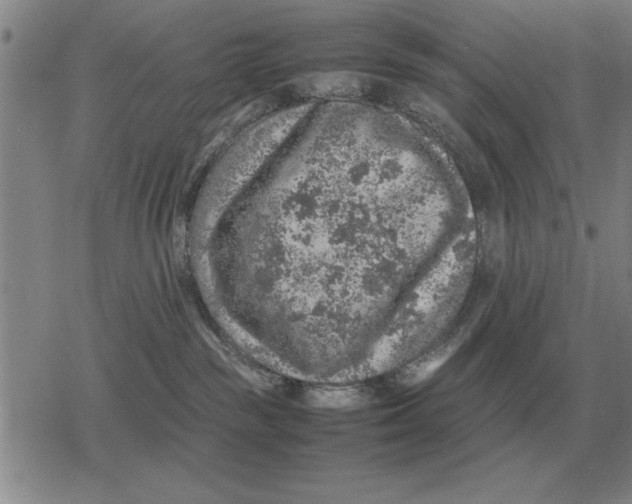 X0000079280189200612081802