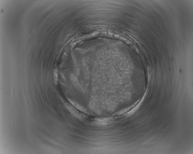 X0000079280190200612081802