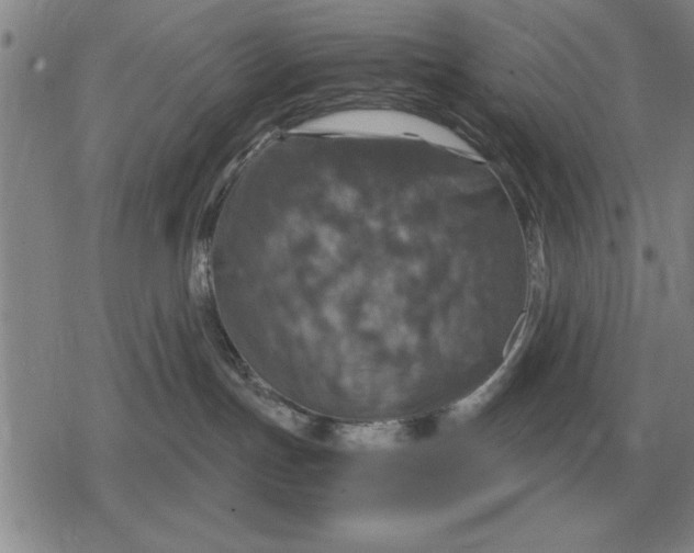 X0000079280191200612081802