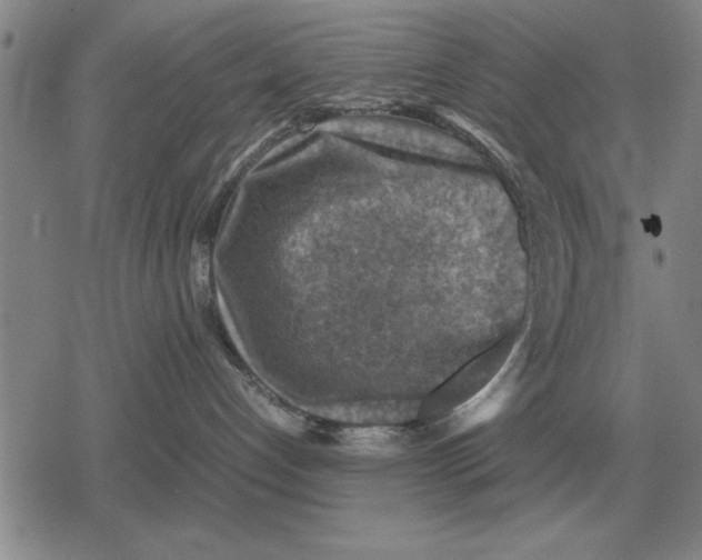 X0000079280192200612081802