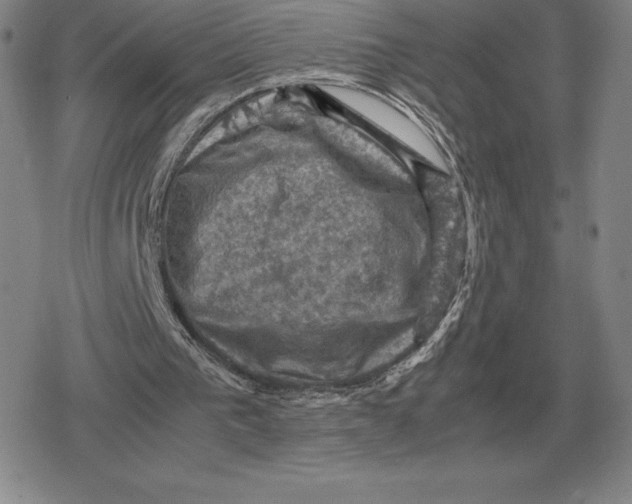 X0000079280193200612081802