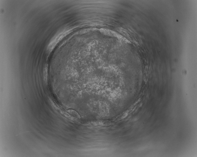 X0000079280194200612081802