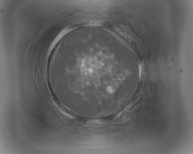 X0000079280195200612081802