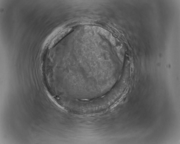 X0000079280197200612081801