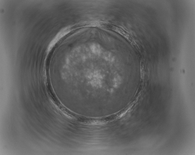 X0000079280198200612081801