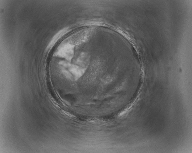 X0000079280199200612081801