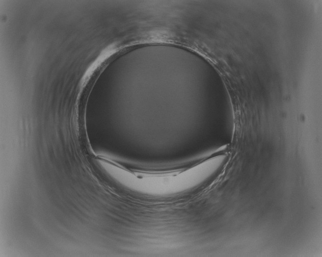 X0000079280200200612081801