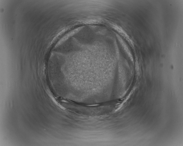 X0000079280201200612081801