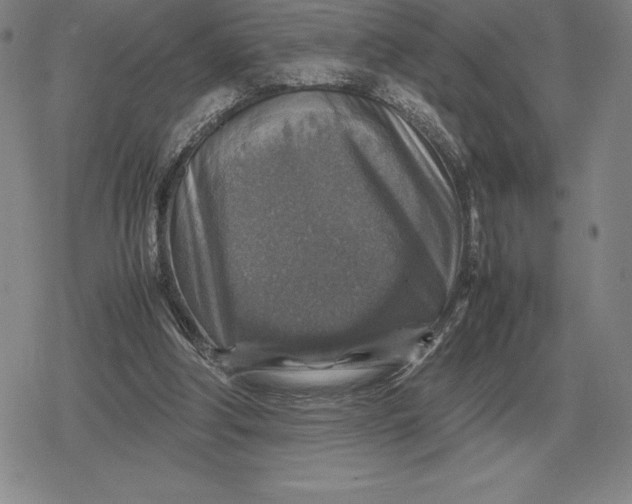 X0000079280202200612081801