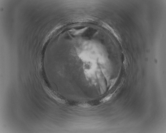 X0000079280203200612081801