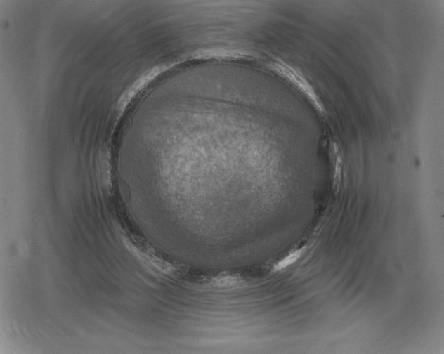 X0000079280204200612081801