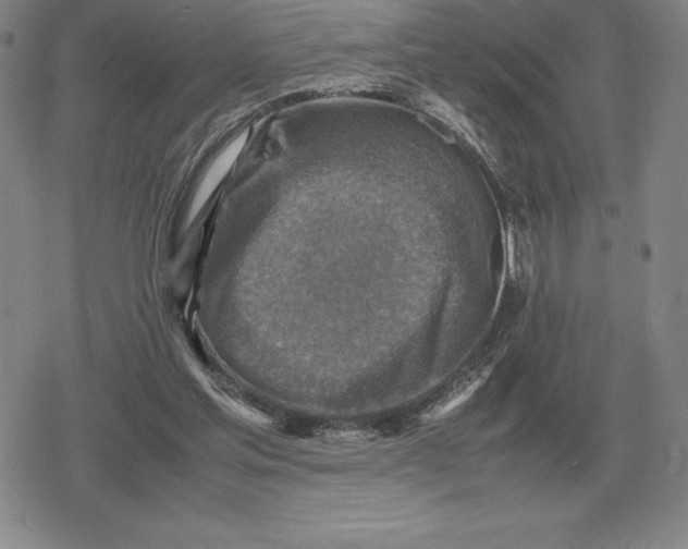 X0000079280205200612081801