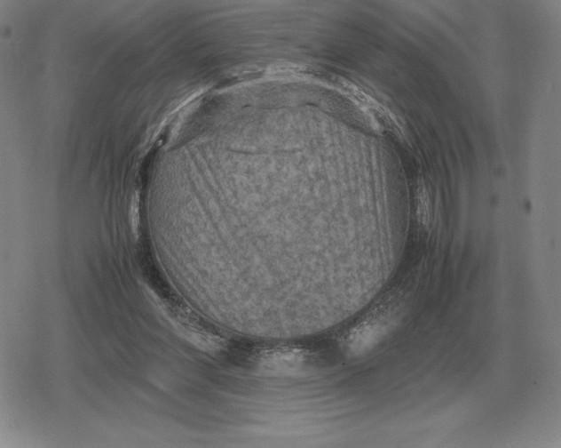 X0000079280206200612081801