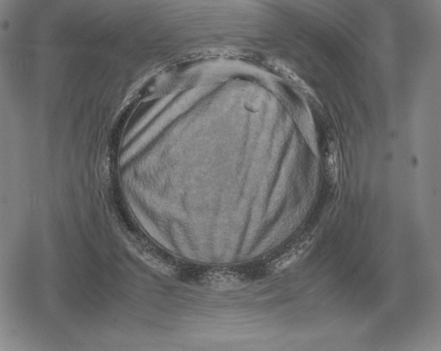 X0000079280207200612081801