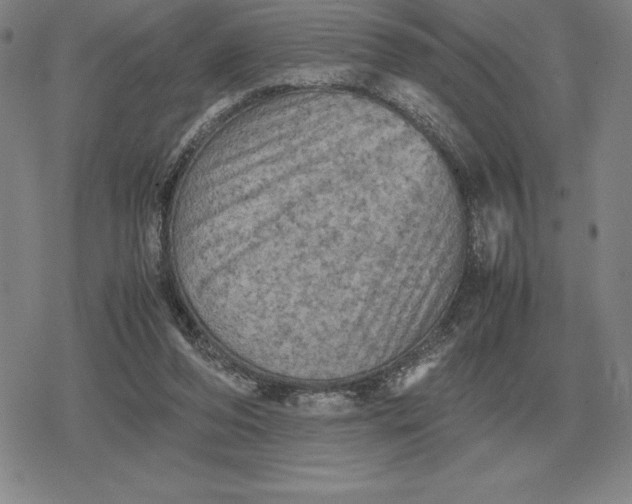 X0000079280208200612081801