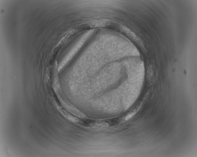 X0000079280209200612081801