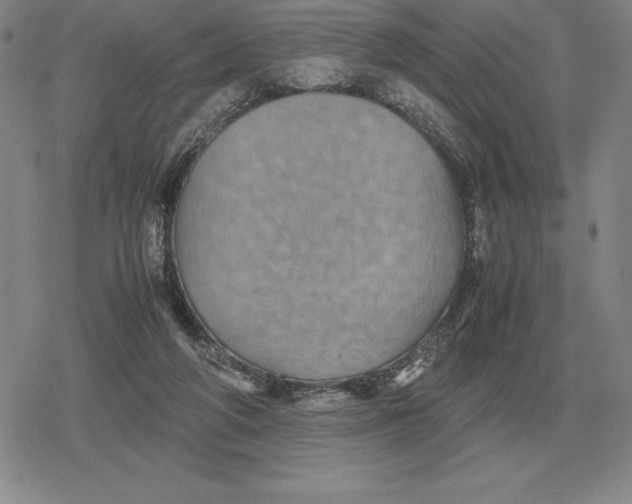 X0000079280210200612081801