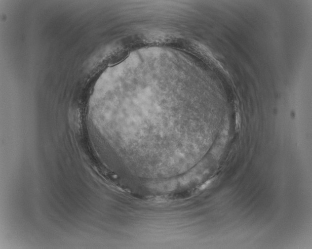 X0000079280211200612081801