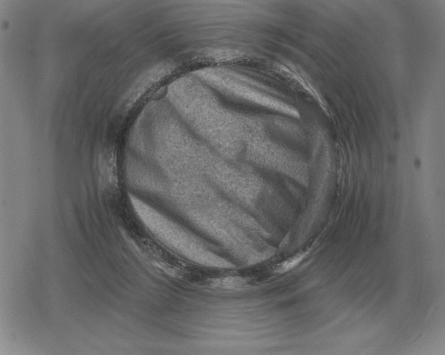 X0000079280212200612081801