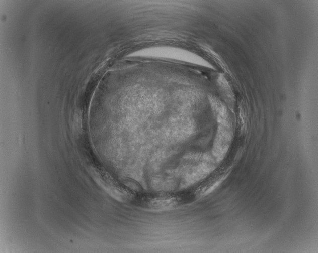 X0000079280213200612081801