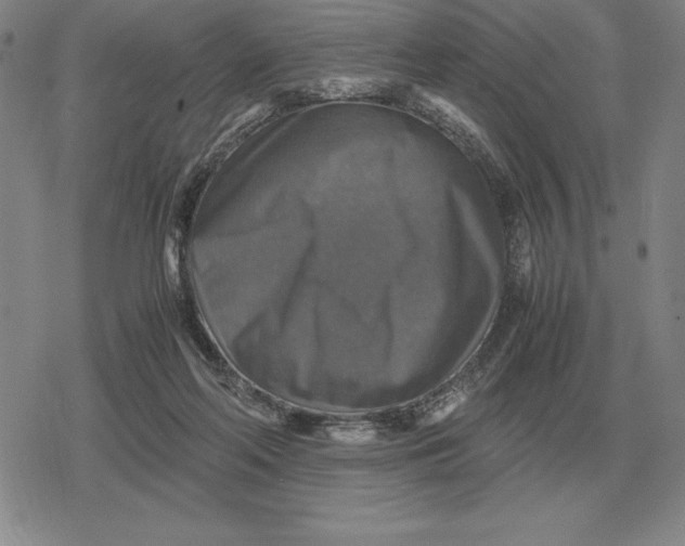 X0000079280214200612081801