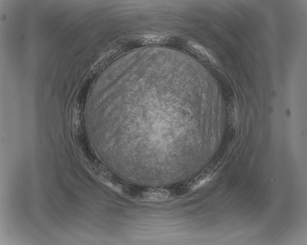 X0000079280215200612081801